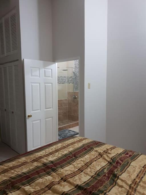 Escape At The Oasis- New Kingston Area -24Hrs Security, Elevator, Water Heater, Wifi Κίνγκστον Εξωτερικό φωτογραφία