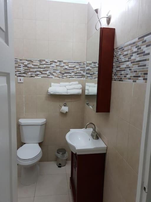 Escape At The Oasis- New Kingston Area -24Hrs Security, Elevator, Water Heater, Wifi Κίνγκστον Εξωτερικό φωτογραφία