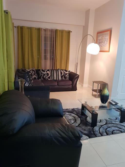 Escape At The Oasis- New Kingston Area -24Hrs Security, Elevator, Water Heater, Wifi Κίνγκστον Εξωτερικό φωτογραφία